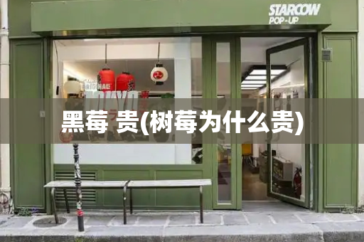 黑莓 贵(树莓为什么贵)