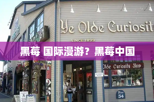黑莓 国际漫游？黑莓中国