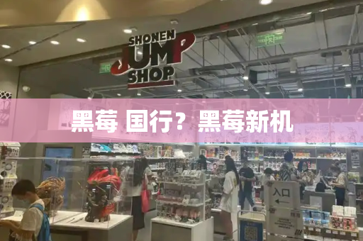 黑莓 国行？黑莓新机