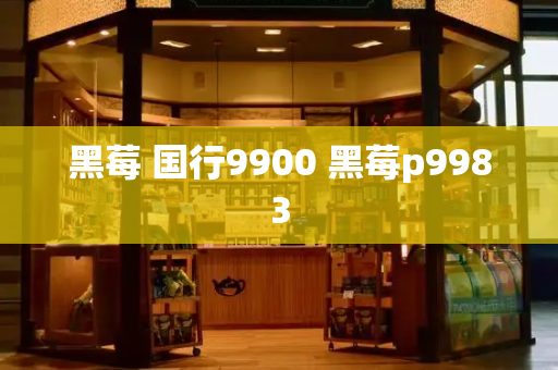 黑莓 国行9900 黑莓p9983