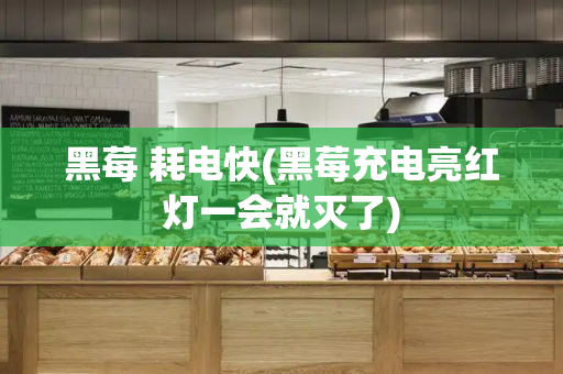 黑莓 耗电快(黑莓充电亮红灯一会就灭了)