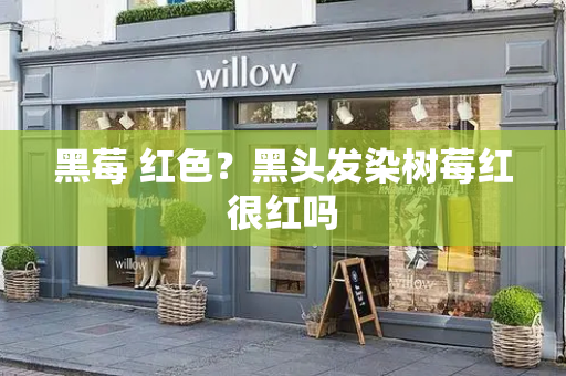 黑莓 红色？黑头发染树莓红很红吗
