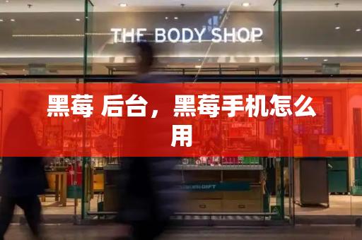 黑莓 后台，黑莓手机怎么用