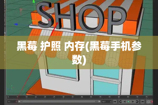 黑莓 护照 内存(黑莓手机参数)