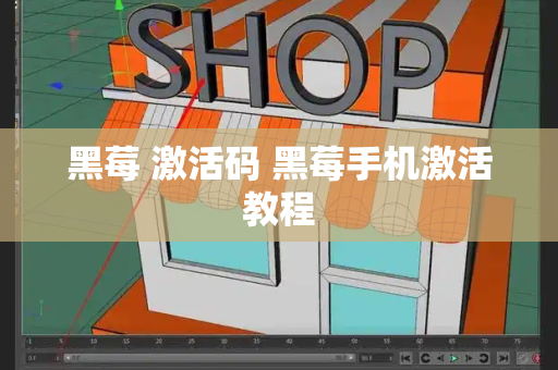 黑莓 激活码 黑莓手机激活教程-第1张图片-星选测评