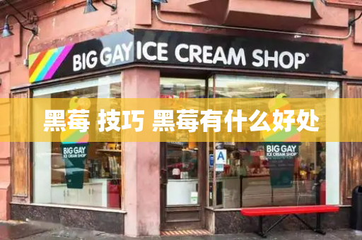 黑莓 技巧 黑莓有什么好处