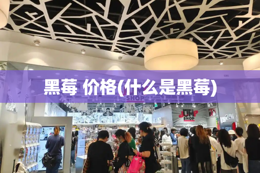 黑莓 价格(什么是黑莓)-第1张图片-星选测评