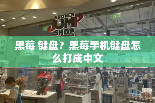 黑莓 键盘？黑莓手机键盘怎么打成中文