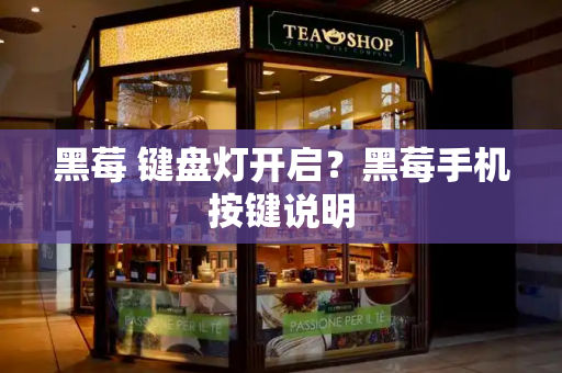 黑莓 键盘灯开启？黑莓手机按键说明