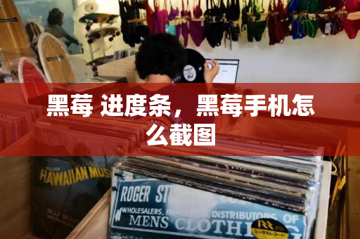 黑莓 进度条，黑莓手机怎么截图-第1张图片-星选测评