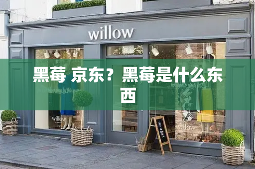 黑莓 京东？黑莓是什么东西