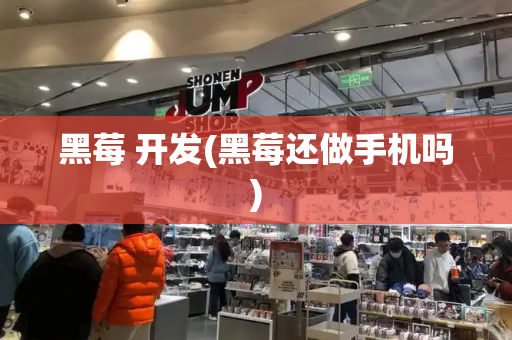 黑莓 开发(黑莓还做手机吗)