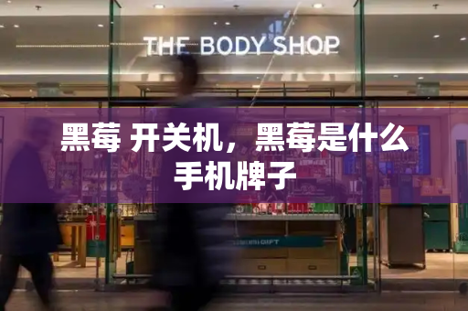 黑莓 开关机，黑莓是什么手机牌子