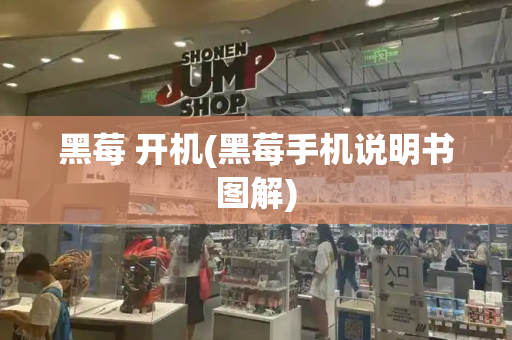 黑莓 开机(黑莓手机说明书图解)