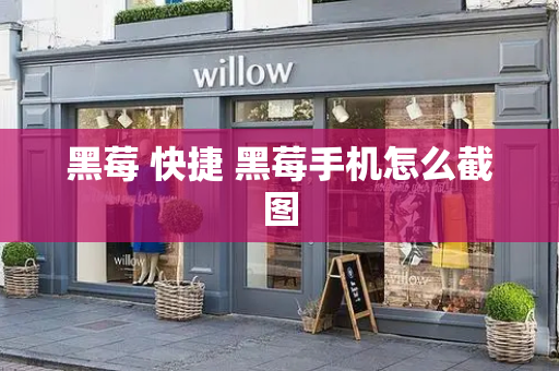 黑莓 快捷 黑莓手机怎么截图