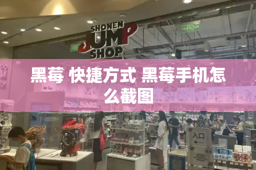 黑莓 快捷方式 黑莓手机怎么截图-第1张图片-星选测评