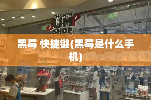黑莓 快捷键(黑莓是什么手机)-第1张图片-星选测评