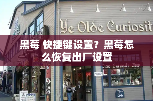 黑莓 快捷键设置？黑莓怎么恢复出厂设置-第1张图片-星选测评