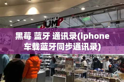 黑莓 蓝牙 通讯录(iphone车载蓝牙同步通讯录)