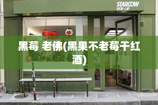 黑莓 老佛(黑果不老莓干红酒)-第1张图片-星选测评