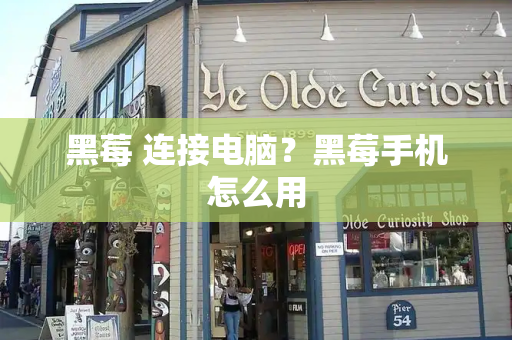 黑莓 连接电脑？黑莓手机怎么用-第1张图片-星选测评