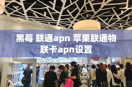 黑莓 联通apn 苹果联通物联卡apn设置-第1张图片-星选测评