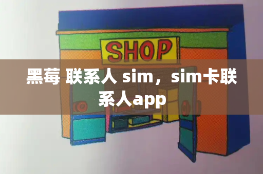 黑莓 联系人 sim，sim卡联系人app-第1张图片-星选测评