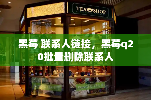 黑莓 联系人链接，黑莓q20批量删除联系人-第1张图片-星选测评