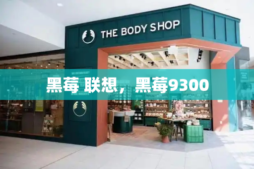 黑莓 联想，黑莓9300-第1张图片-星选测评