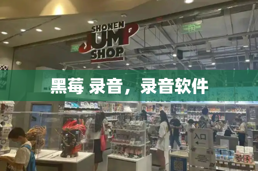 黑莓 录音，录音软件