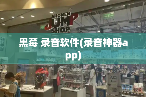 黑莓 录音软件(录音神器app)