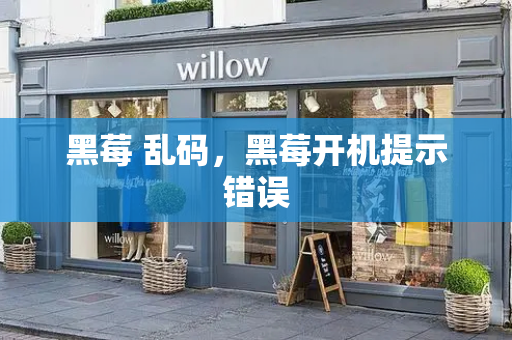 黑莓 乱码，黑莓开机提示错误