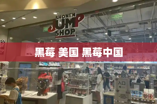 黑莓 美国 黑莓中国-第1张图片-星选测评