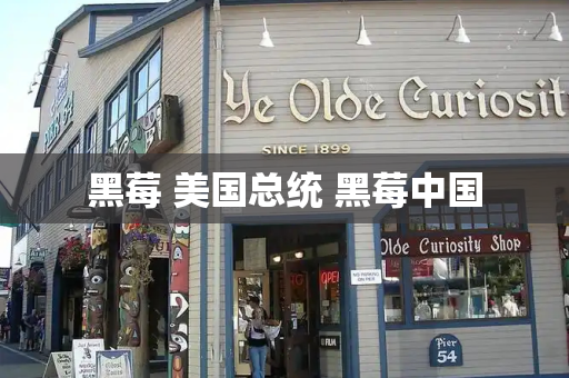 黑莓 美国总统 黑莓中国
