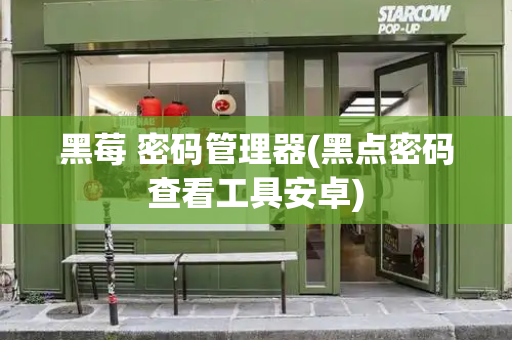 黑莓 密码管理器(黑点密码查看工具安卓)