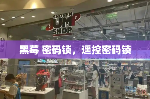 黑莓 密码锁，遥控密码锁-第1张图片-星选测评