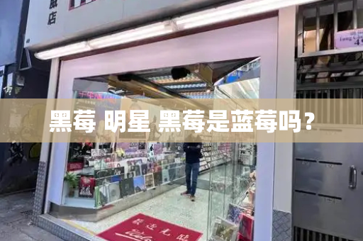 黑莓 明星 黑莓是蓝莓吗？