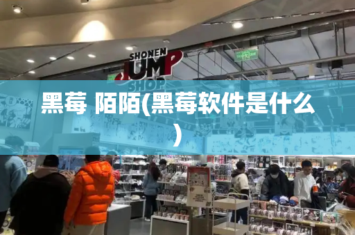 黑莓 陌陌(黑莓软件是什么)
