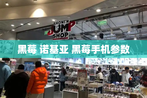 黑莓 诺基亚 黑莓手机参数