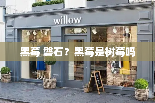 黑莓 磐石？黑莓是树莓吗