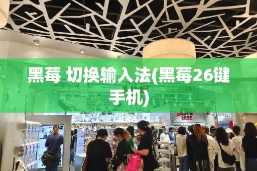 黑莓 切换输入法(黑莓26键手机)-第1张图片-星选测评