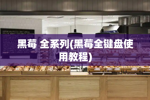 黑莓 全系列(黑莓全键盘使用教程)