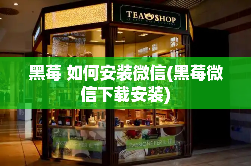 黑莓 如何安装微信(黑莓微信下载安装)-第1张图片-星选测评