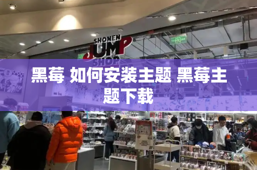 黑莓 如何安装主题 黑莓主题下载