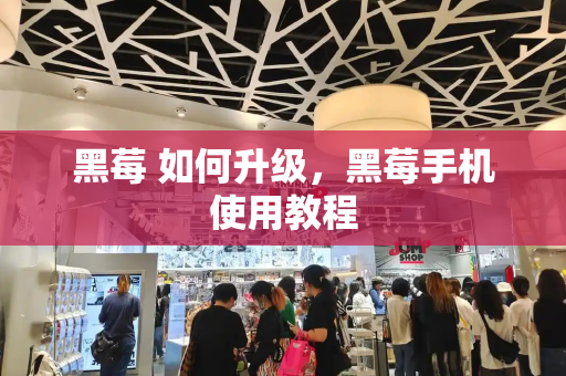黑莓 如何升级，黑莓手机使用教程