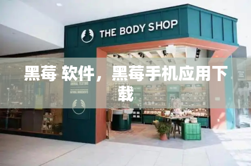 黑莓 软件，黑莓手机应用下载