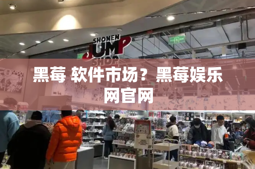 黑莓 软件市场？黑莓娱乐网官网