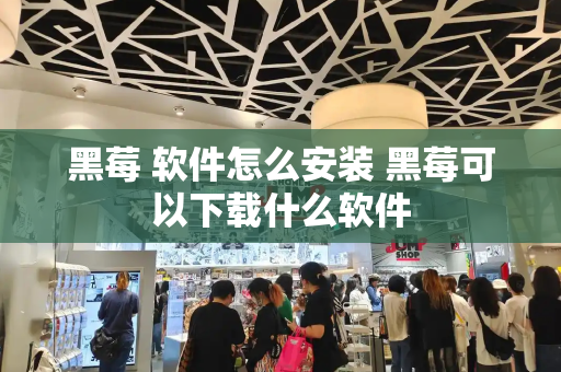 黑莓 软件怎么安装 黑莓可以下载什么软件-第1张图片-星选测评