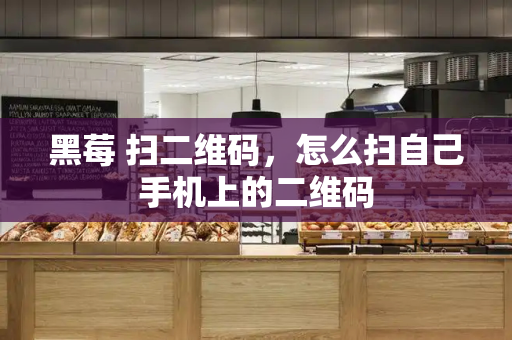 黑莓 扫二维码，怎么扫自己手机上的二维码