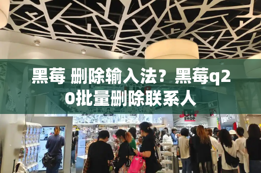 黑莓 删除输入法？黑莓q20批量删除联系人